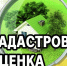Проведение в 2027 году государственной кадастровой оценки   на территории Красноярского края. - Каратузский район